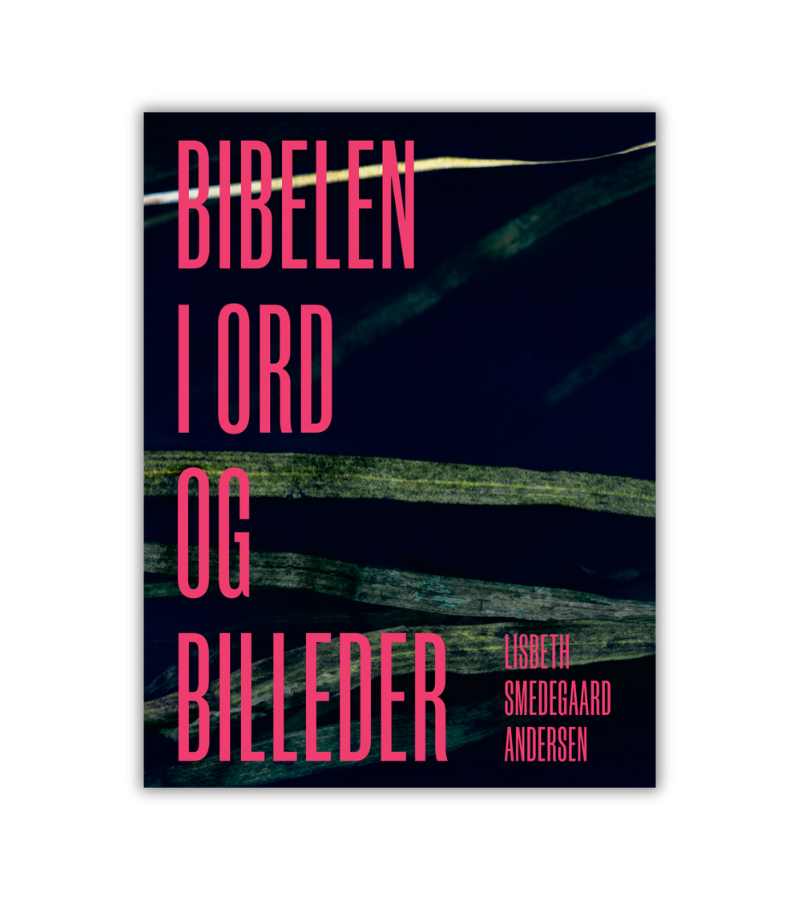 Bibelen I Ord Og Billeder Lisbeth Andersen OnlyByGrace