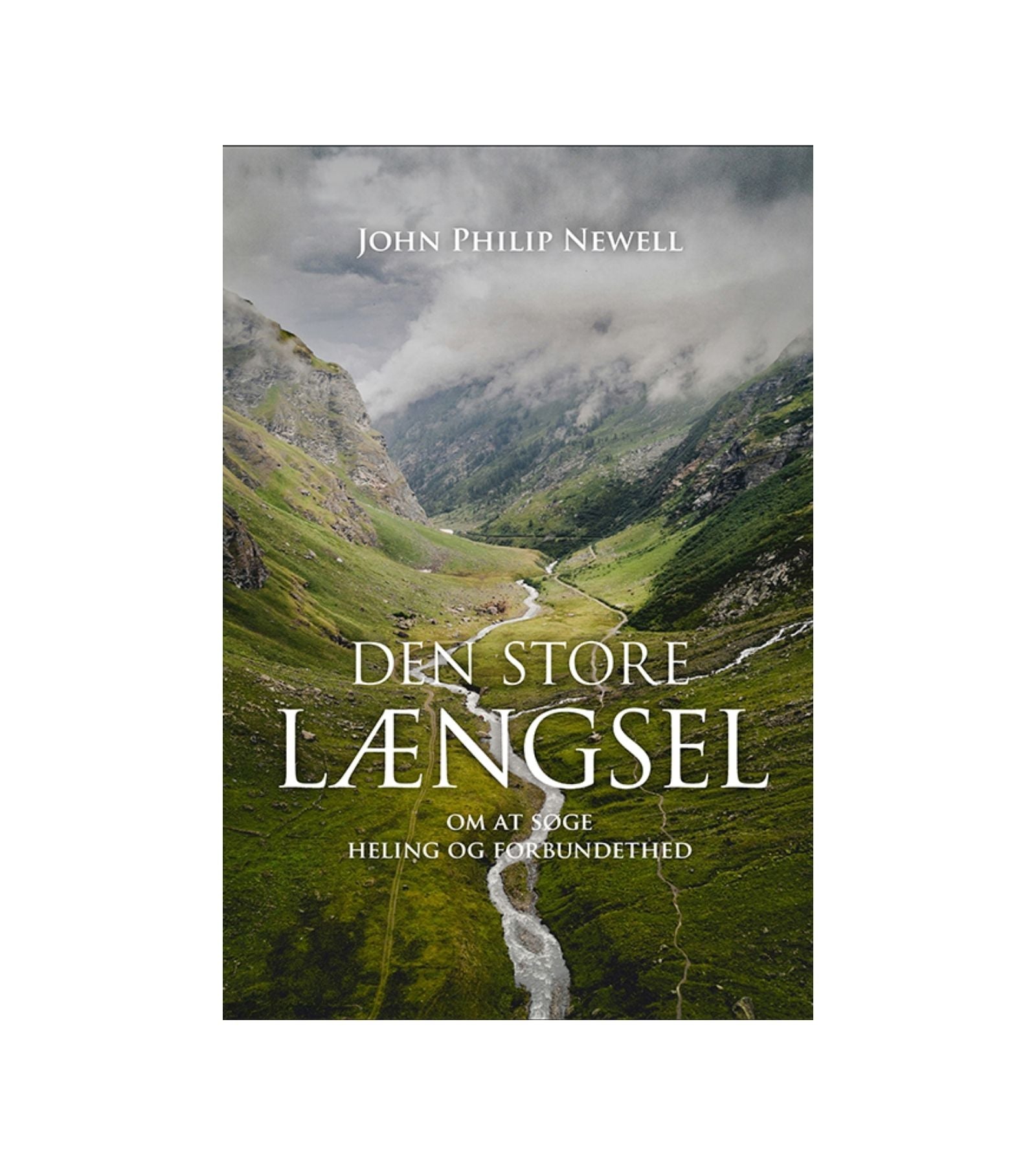 Den store længsel af John Philip Newell