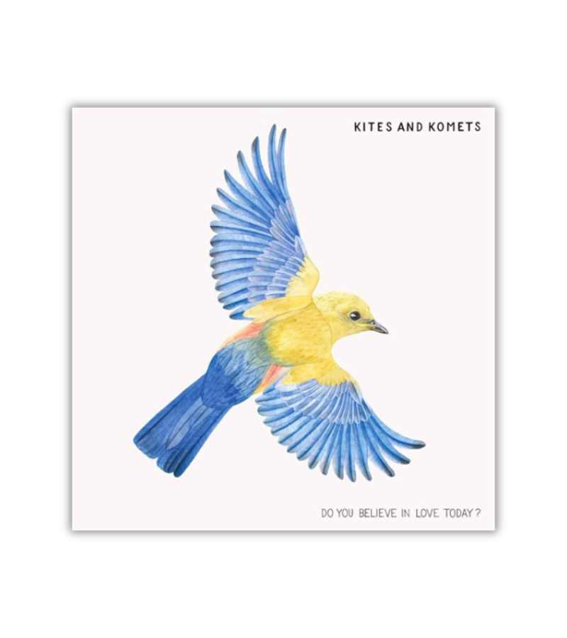 Do You Believe In Love Today LP Kites And Komets OnlyByGrace