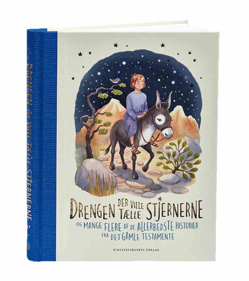 Drengen der ville tælle stjernerne BOG OnlyByGrace