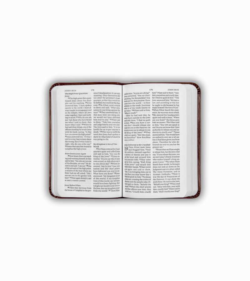 ESV Holy bible New Testament åben OnlyByGrace