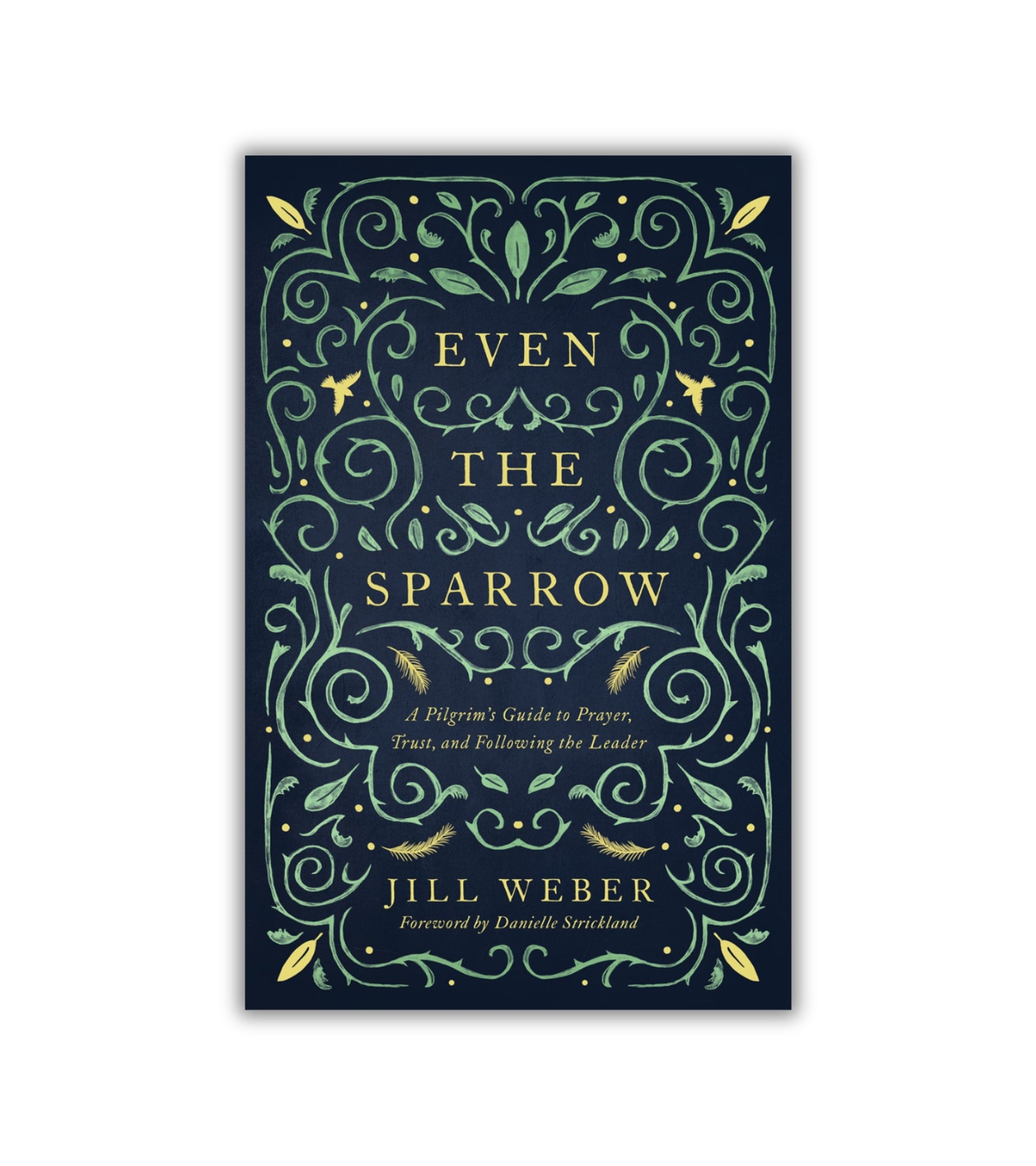 Even the Sparrow af Jill Weber