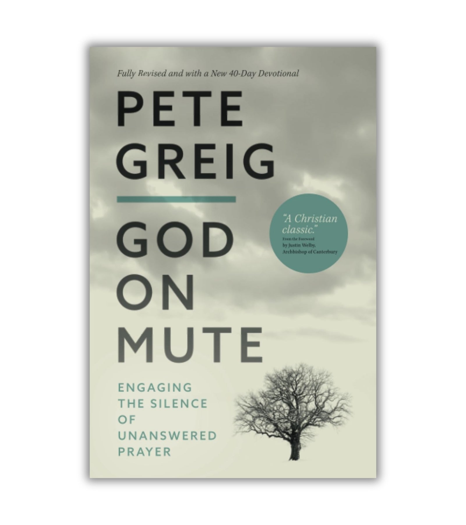 God on Mute af Pete Greig