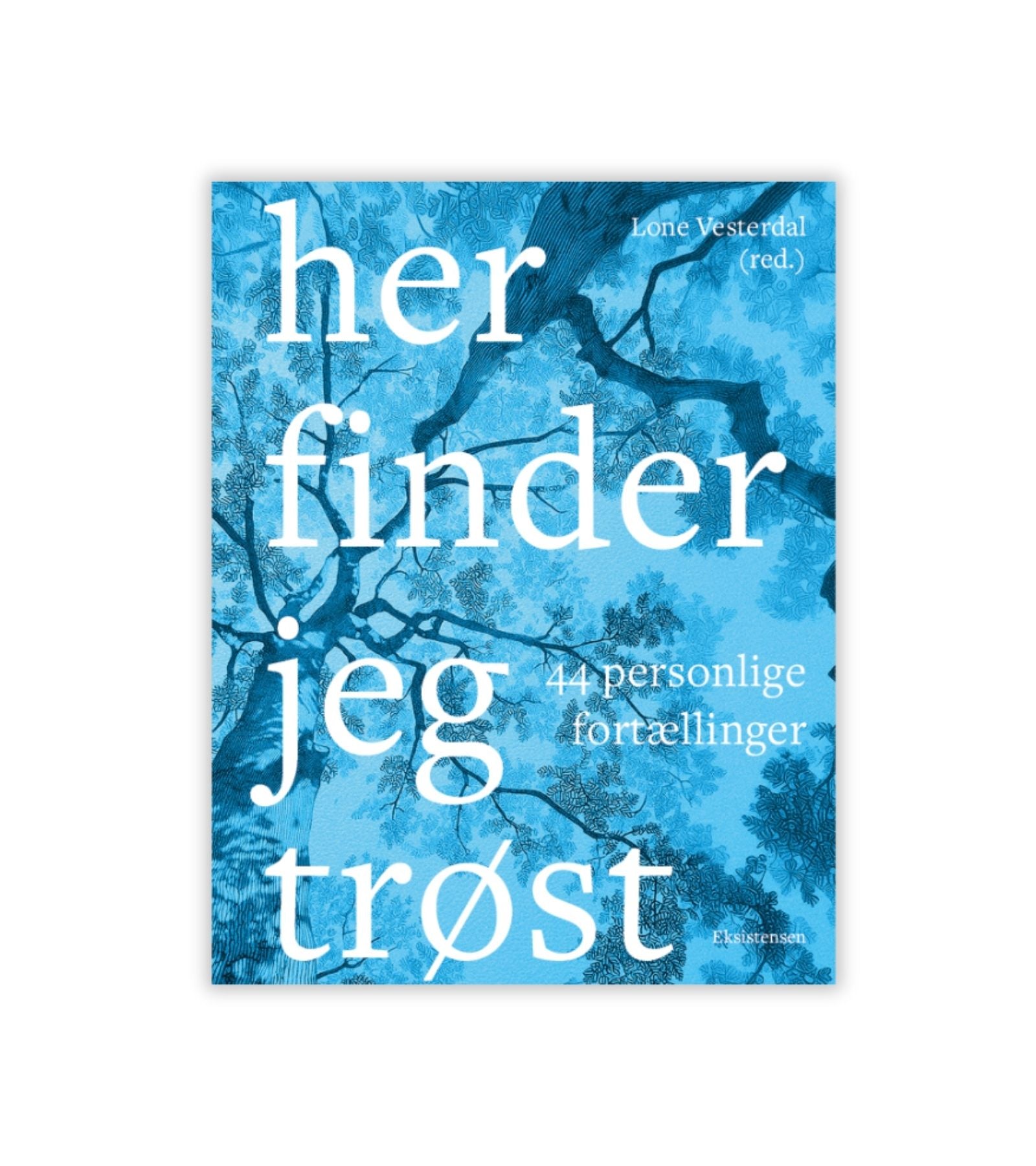 Her finder jeg trøst - 44 personlige fortællinger af Lone Vesterdal (red.)