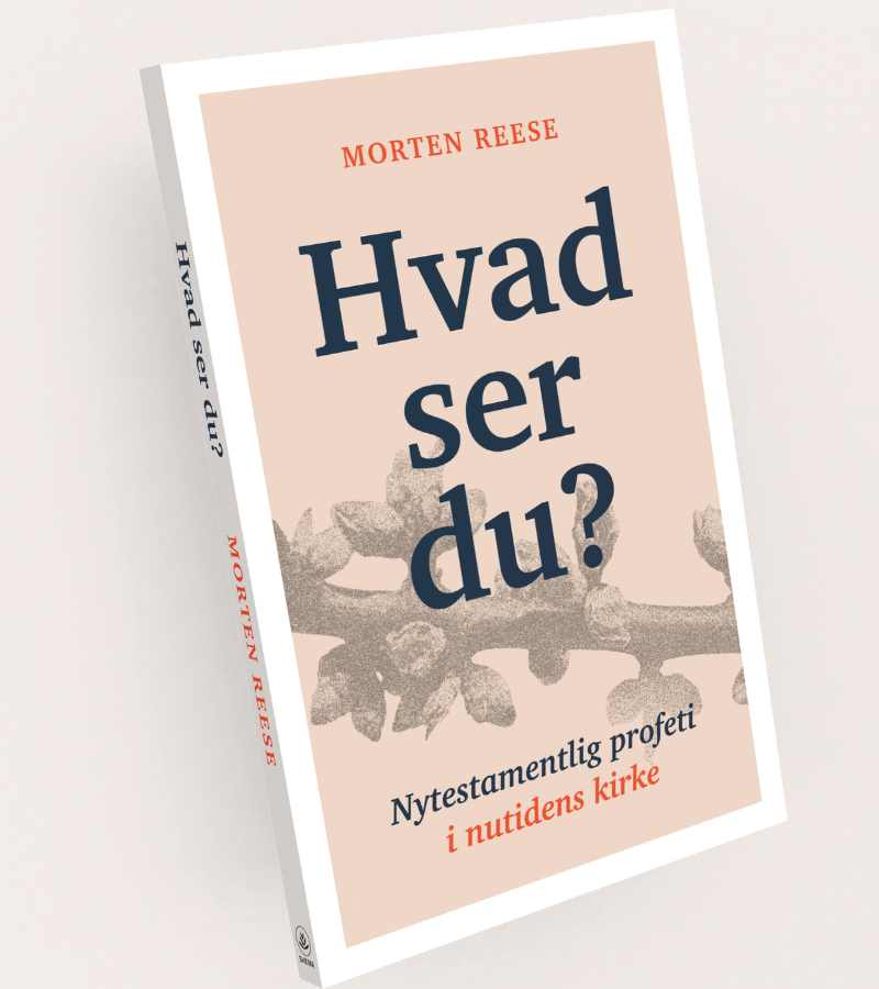 Hva ser du? av Morten Reese