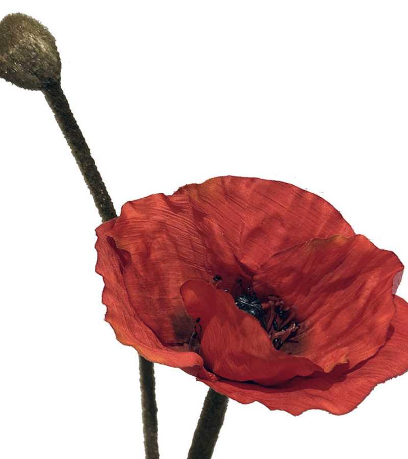 Kunstig blomst, Valmuefrø
