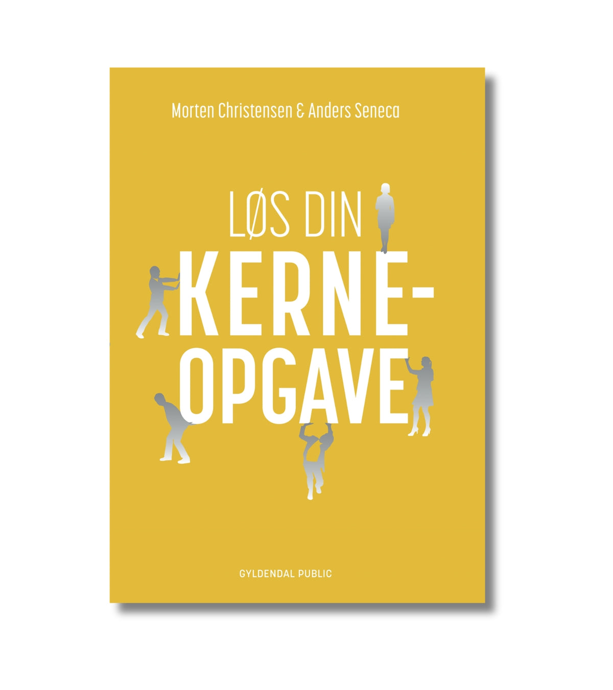 Løs din Kerneopgave