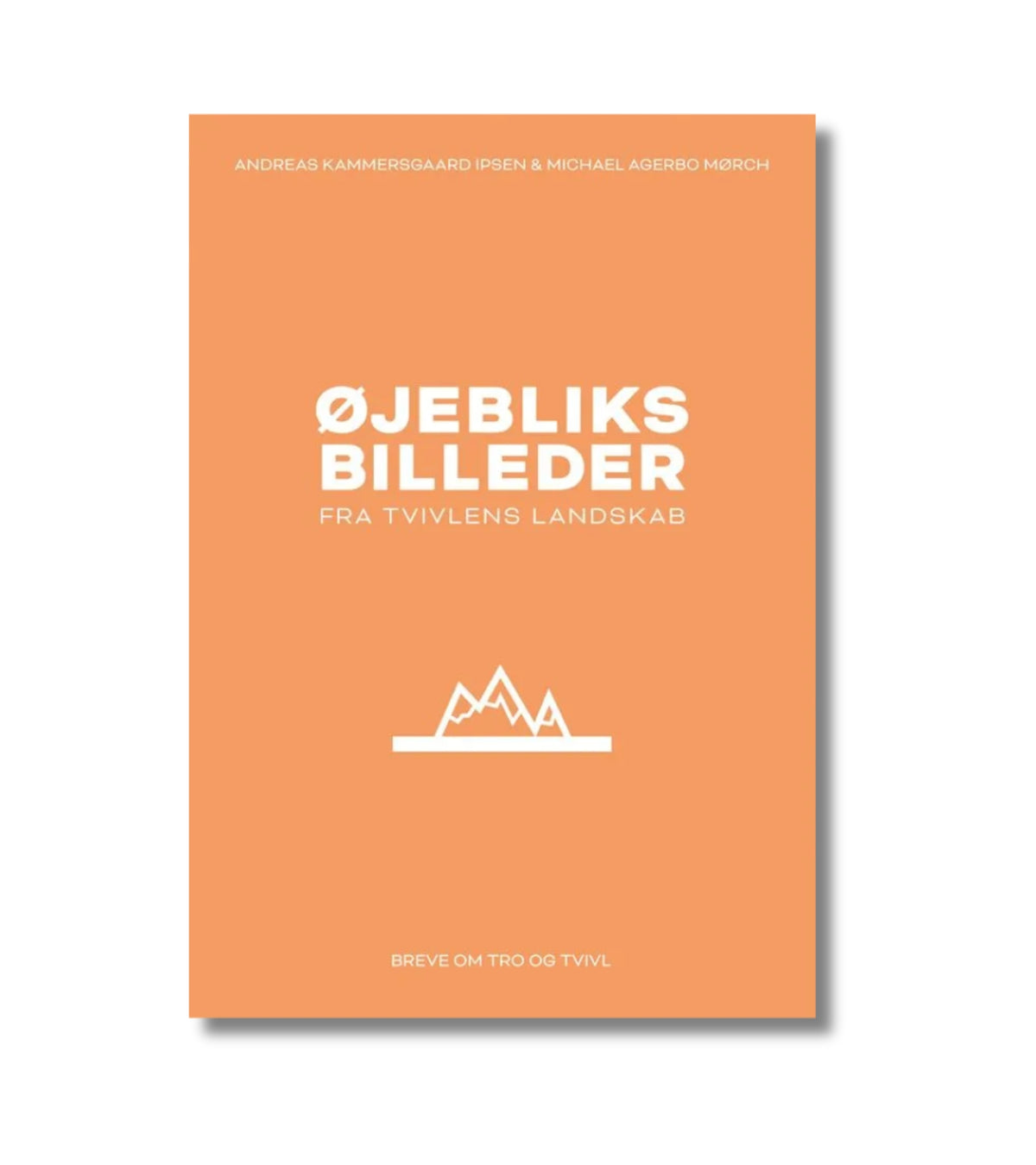 Øjebliksbilleder fra tvivlens landskab