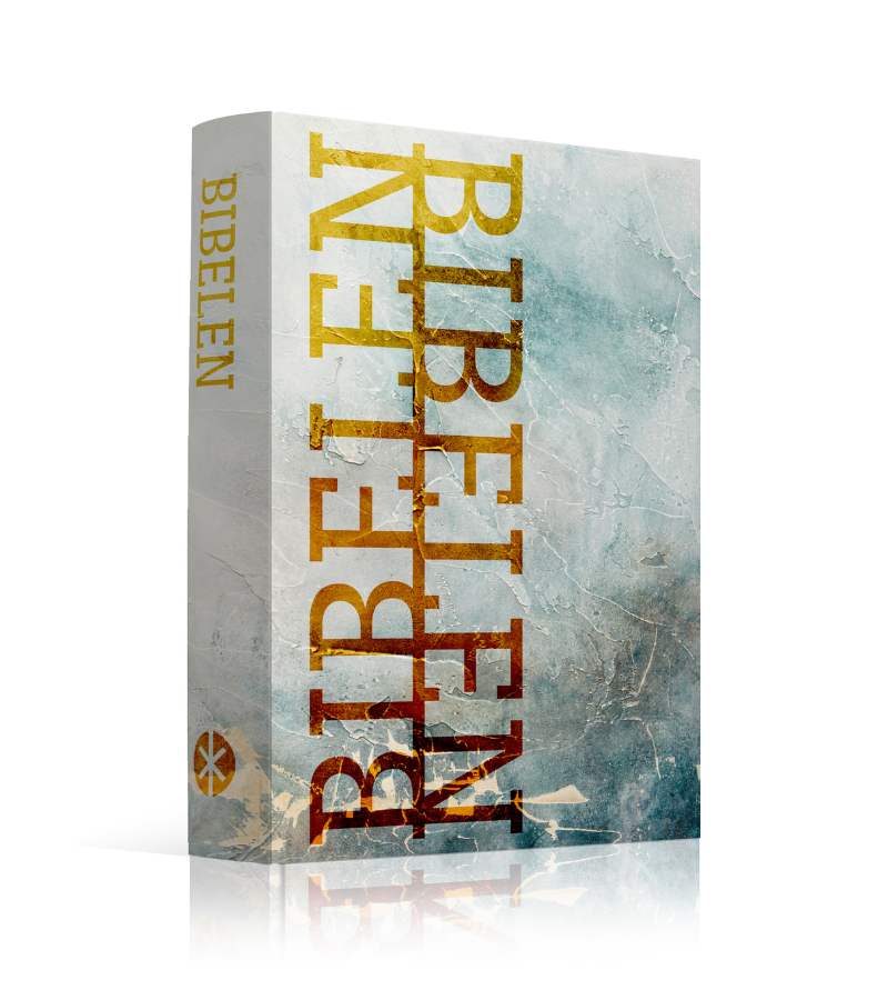 OnlyByGrace Bibelen på hverdagsdansk paperback Frost 2024