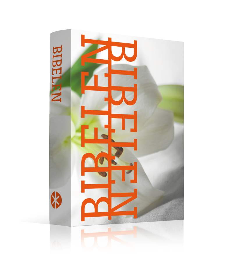 OnlyByGrace Bibelen på hverdagsdansk paperback Lilje 2024