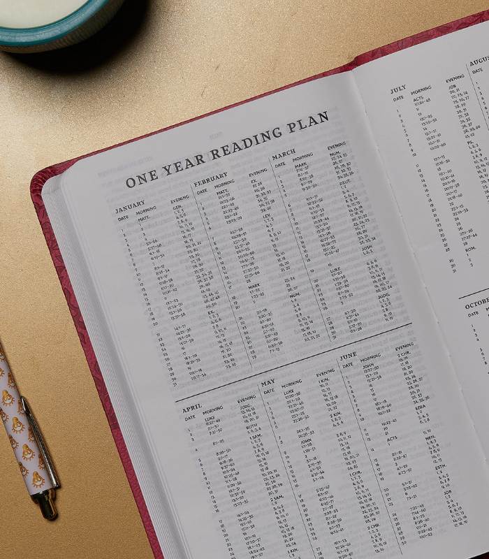 OnlyByGrace NKJV bibel winered one year reading plan