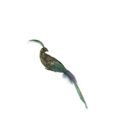 Påfugl, 16 cm, Grøn