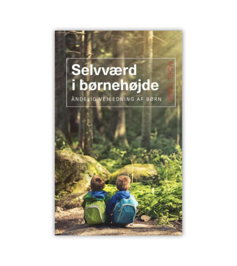 Selvvaerd I Boernehoejde Rachel Turner OnlyByGrace