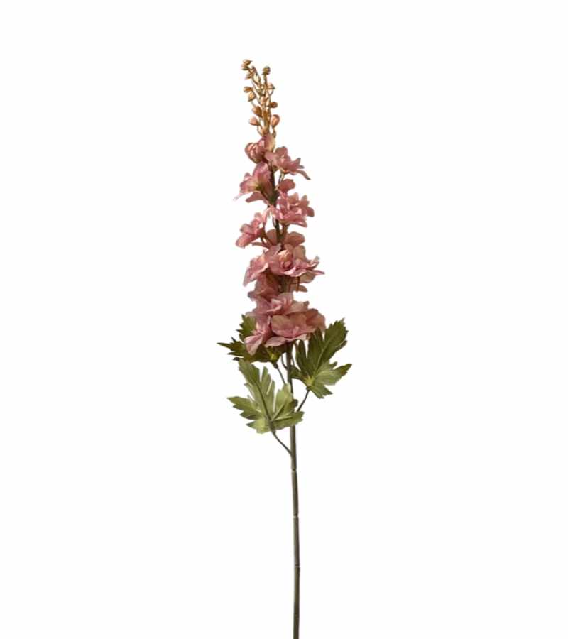 Silkeblomst, Ridderspore, GammelRosa, 79cm