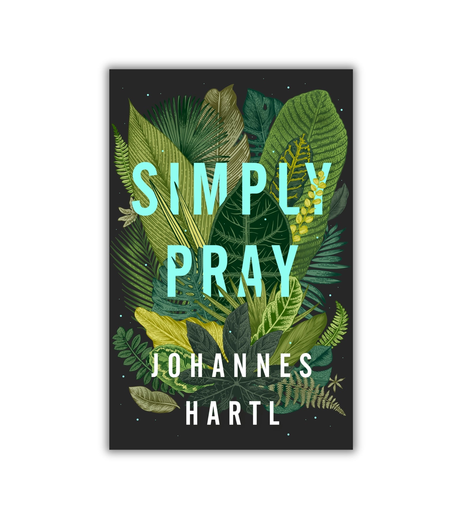 Simply Pray af Johannes Hartl