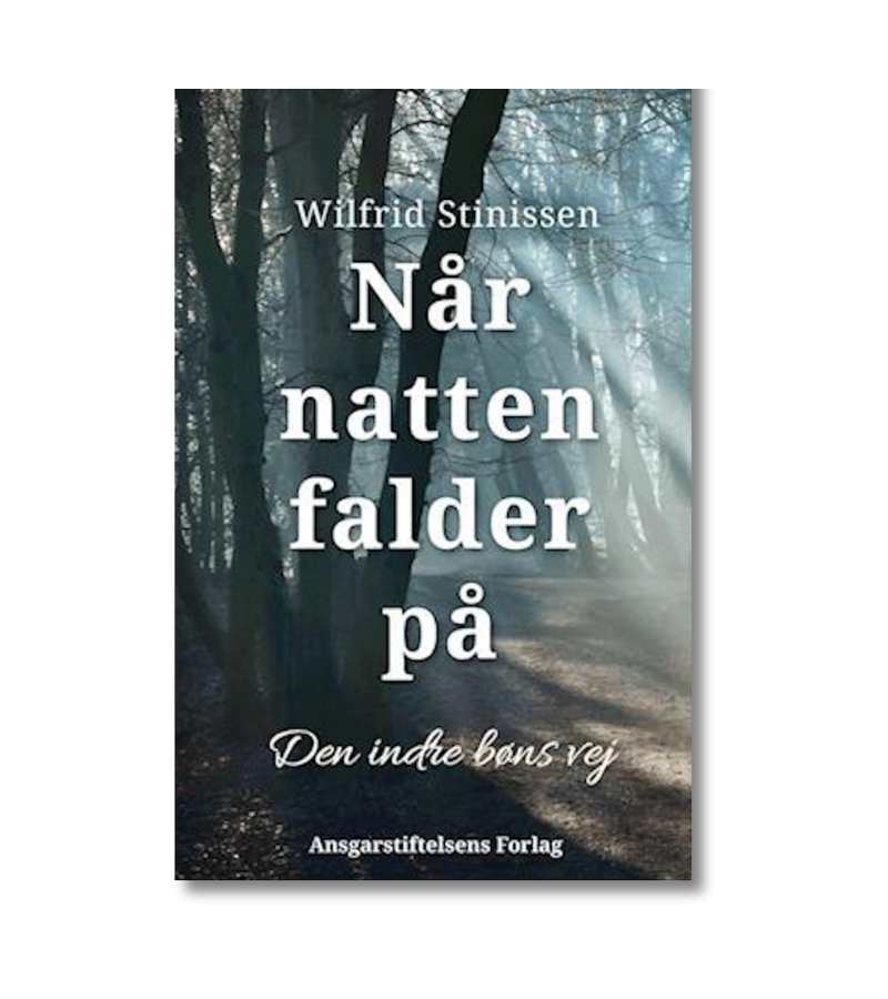 Når natten falder på af Wilfrid Stinissen