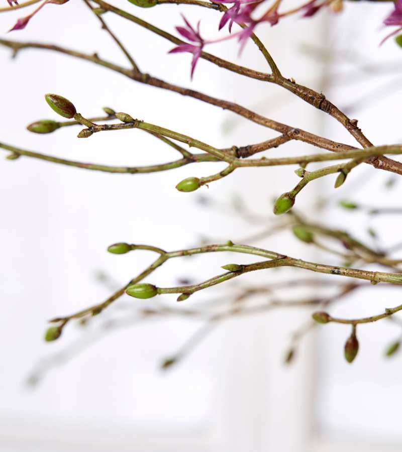 3 stk silkeblomst grene forårsskud OnlyByGrace
