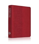 OnlyByGrace Bible i daglig dansk rød 2024